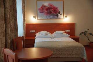 Отель Hotel BOSiR Белосток Двухместный номер Делюкс с 1 кроватью-3